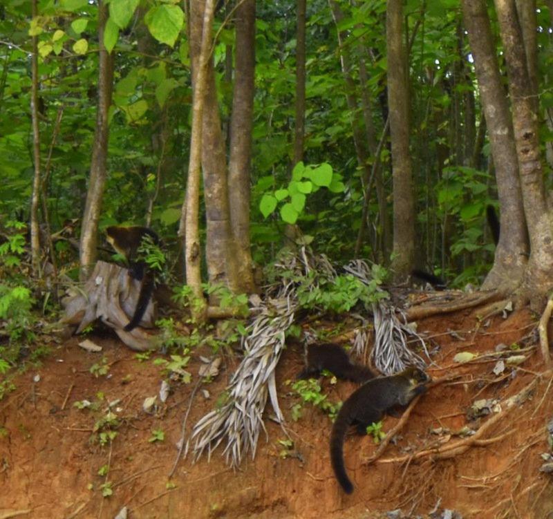 Villas Punta India Ostional Wildlife Refuge 外观 照片