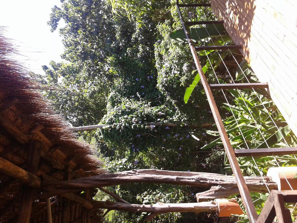 Villas Punta India Ostional Wildlife Refuge 客房 照片